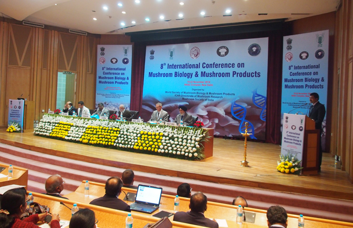 專(zhuān)題報(bào)道