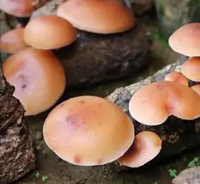 圖片關(guān)鍵詞 圖片關(guān)鍵詞