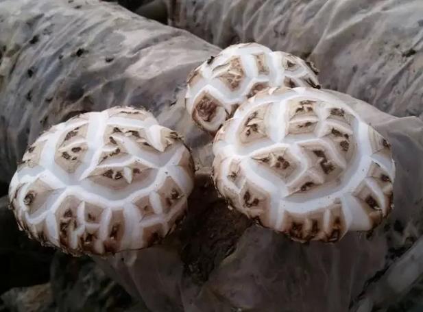 圖片關鍵詞 圖片關鍵詞