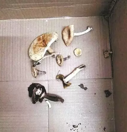 圖片關鍵詞 圖片關鍵詞