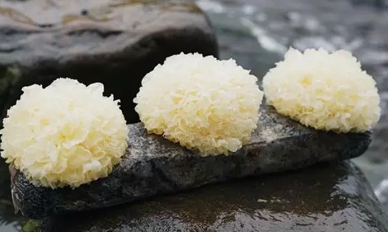 圖片關鍵詞 http://www.haoran321.com/ewebeditor/uploadfile/20180328092751720001.png