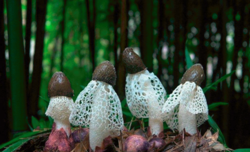 圖片關鍵詞 http://www.haoran321.com/ewebeditor/uploadfile/20180828110329835001.png