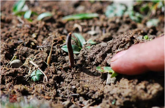 圖片關鍵詞 http://www.haoran321.com/ewebeditor/uploadfile/20180921101313325001.png