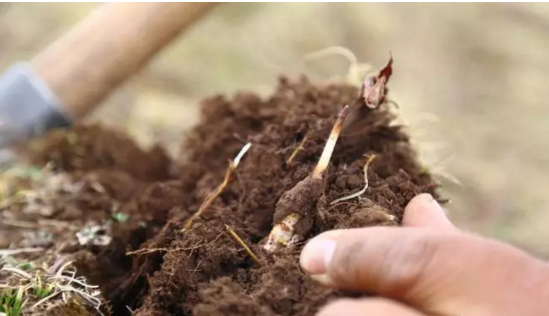 圖片關鍵詞 http://www.haoran321.com/ewebeditor/uploadfile/20180921101228689001.png