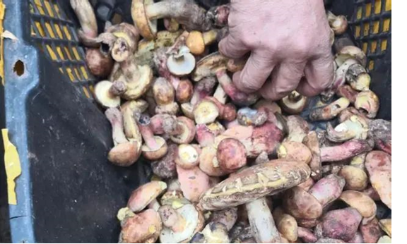 圖片關(guān)鍵詞 圖片關(guān)鍵詞