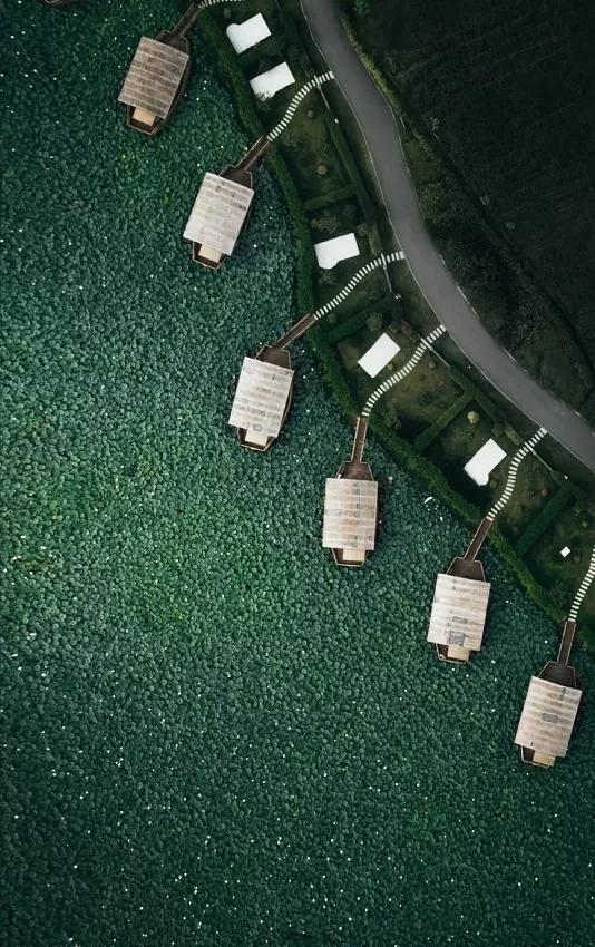 圖片關(guān)鍵詞 國(guó)家蘑菇地理:中國(guó)哪里的蘑菇最好吃?