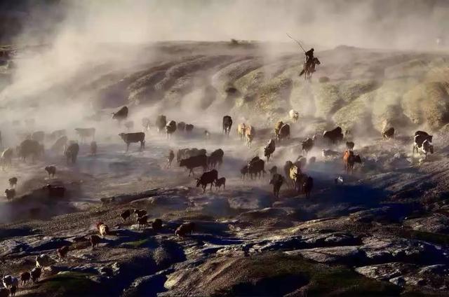 圖片關(guān)鍵詞 國(guó)家蘑菇地理:中國(guó)哪里的蘑菇最好吃?