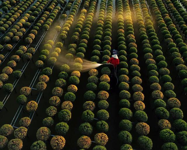 圖片關(guān)鍵詞 國(guó)家蘑菇地理:中國(guó)哪里的蘑菇最好吃?