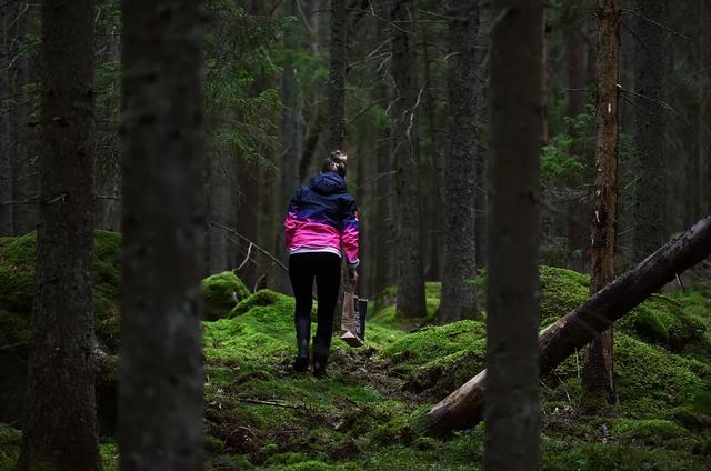 圖片關(guān)鍵詞 國(guó)家蘑菇地理:中國(guó)哪里的蘑菇最好吃?