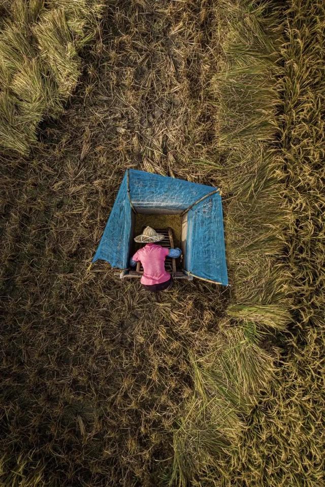 圖片關(guān)鍵詞 國(guó)家蘑菇地理:中國(guó)哪里的蘑菇最好吃?