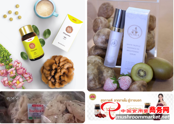 圖片關鍵詞 圖片關鍵詞