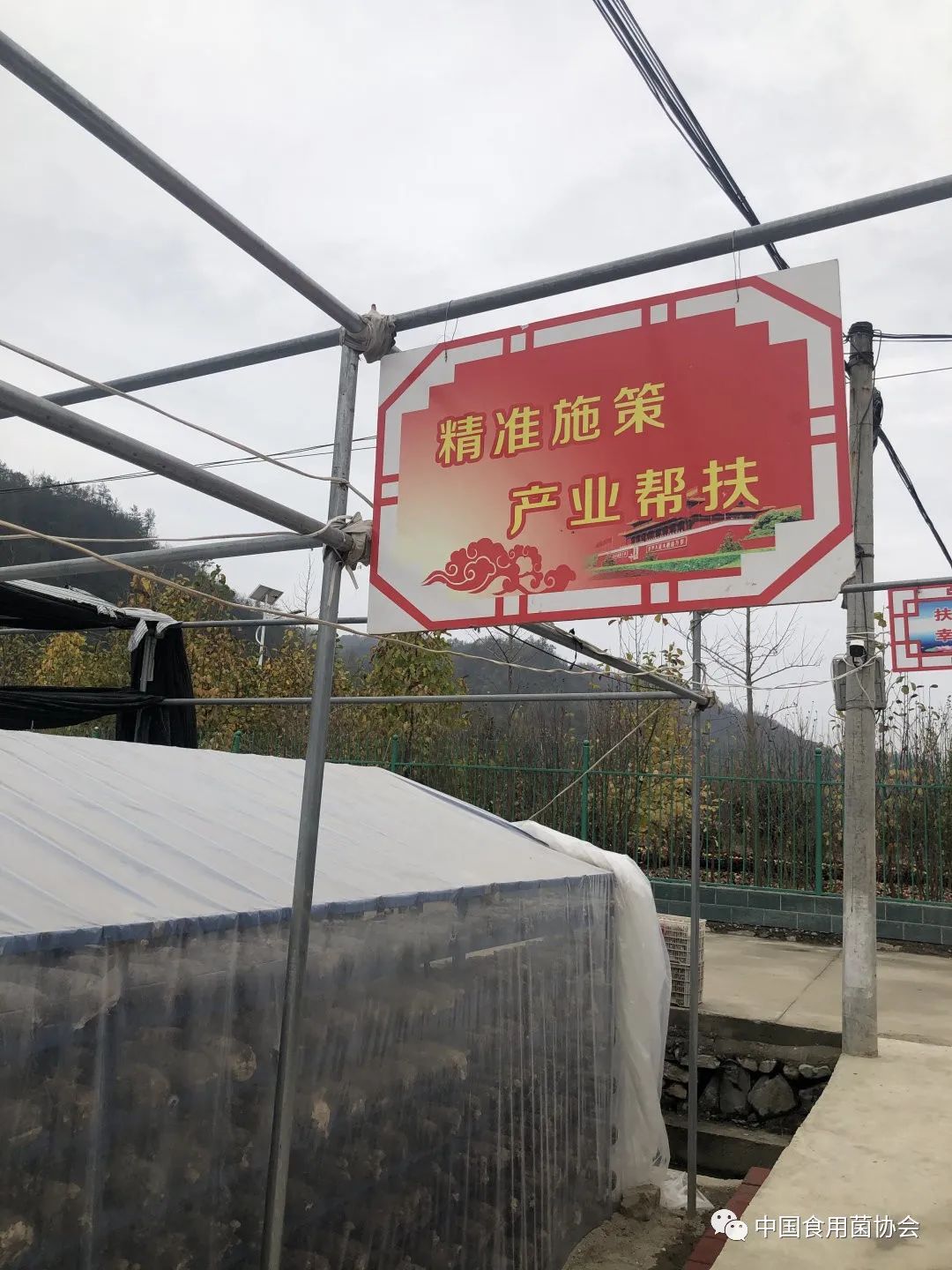 圖片關(guān)鍵詞 https://mmbiz.qpic.cn/mmbiz_jpg/qmUUOFzKOyScu82LCAxX6yyEJ0QS7ugu8y2wbZlZG2F9hIibEU49pmeXHovJicMhVaoGfPiah6dxUKtqIQ8icrFOMA/640?wx_fmt=jpeg