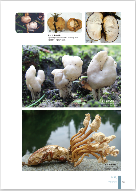 圖片關鍵詞 圖片