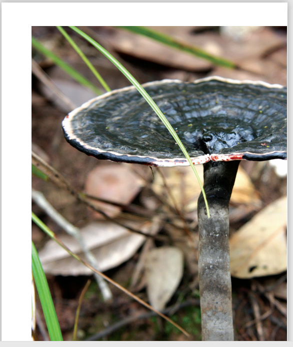 圖片關鍵詞 圖片