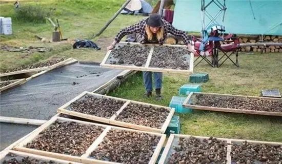 圖片關鍵詞 圖片