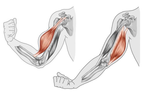圖片關鍵詞 圖片關鍵詞