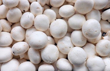 圖片關鍵詞 圖片關鍵詞