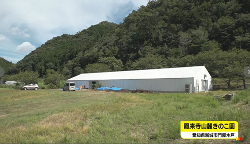 圖片關鍵詞 圖片關鍵詞