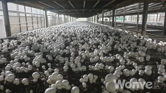 圖片關鍵詞 圖片關鍵詞