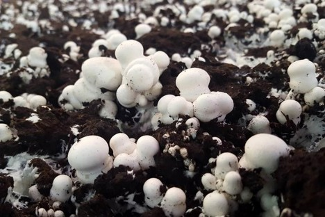 圖片關鍵詞 圖片關鍵詞