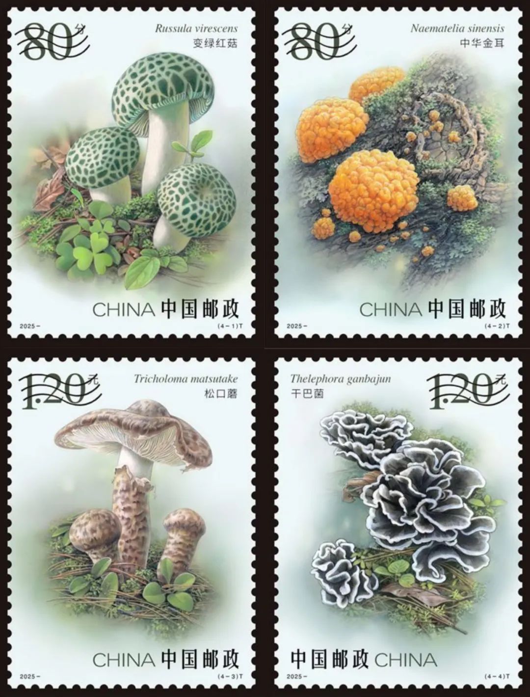 圖片關鍵詞