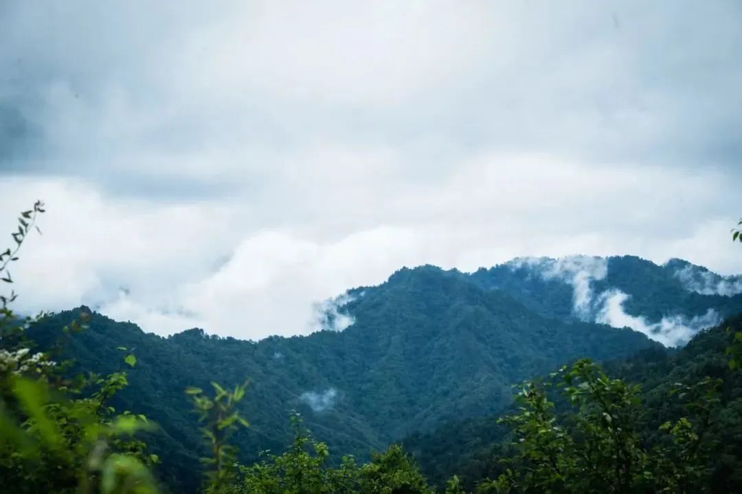 圖片關鍵詞 圖片關鍵詞