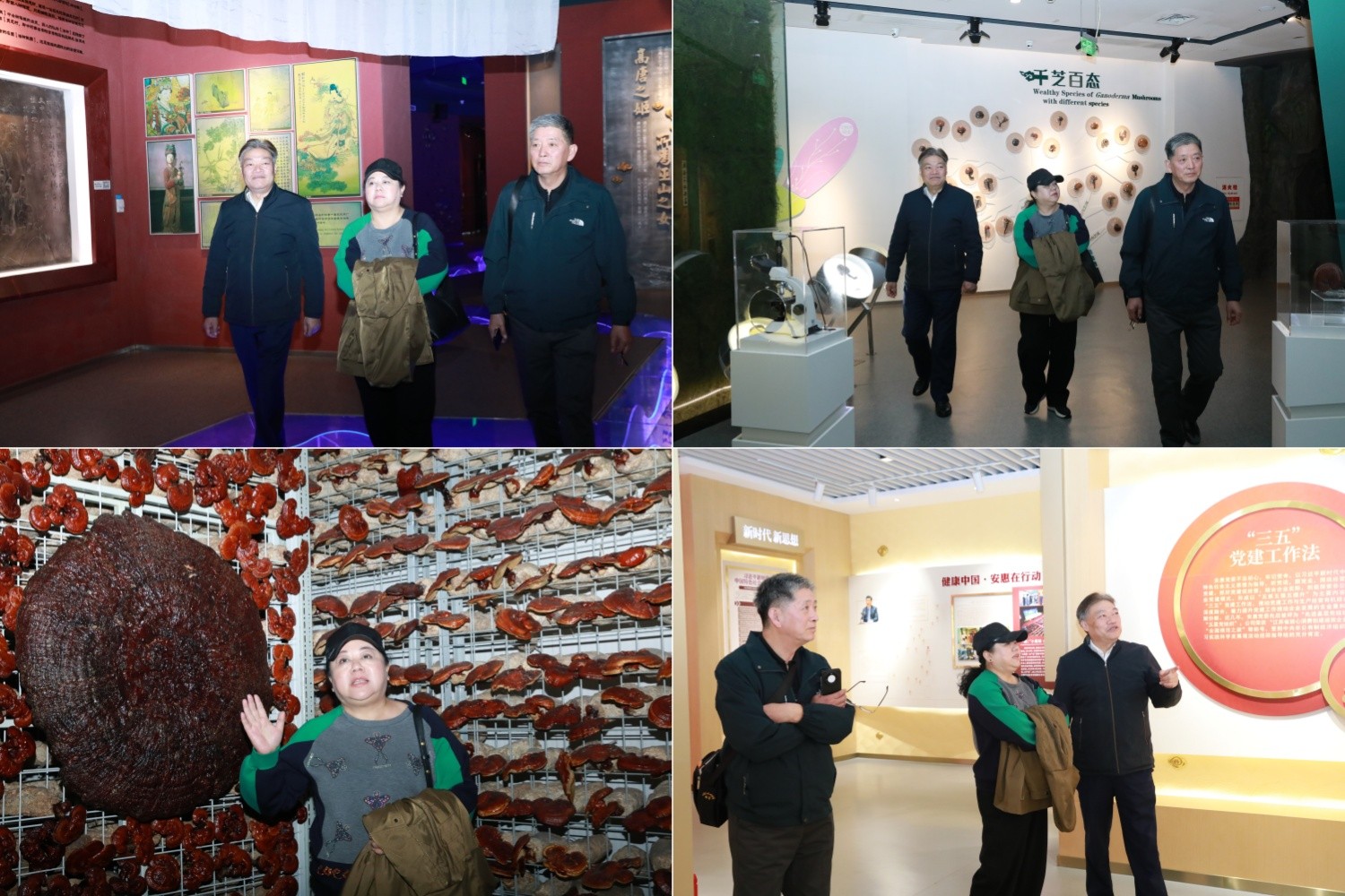 圖片關鍵詞 圖片關鍵詞