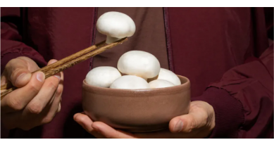 行業(yè)動態(tài)