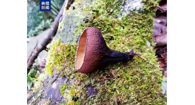 行業(yè)動態(tài)