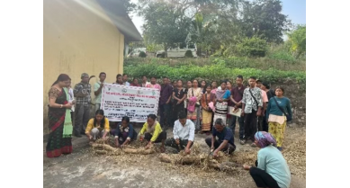 行業(yè)動態(tài)